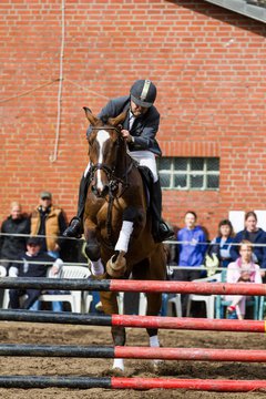 Bild 189 - Reitschule Jan�en Jubil�um